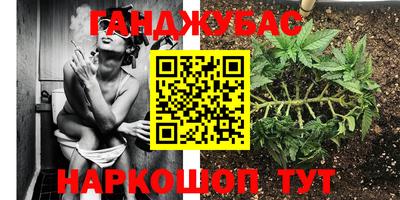 прущие крисы Кулебаки