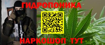прущие крисы Кулебаки