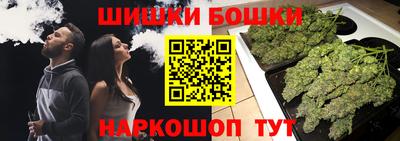прущие крисы Кулебаки