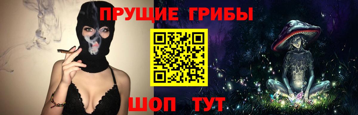 Галлюциногенные грибы Cubensis  Вход с VPN  Екатеринбург 